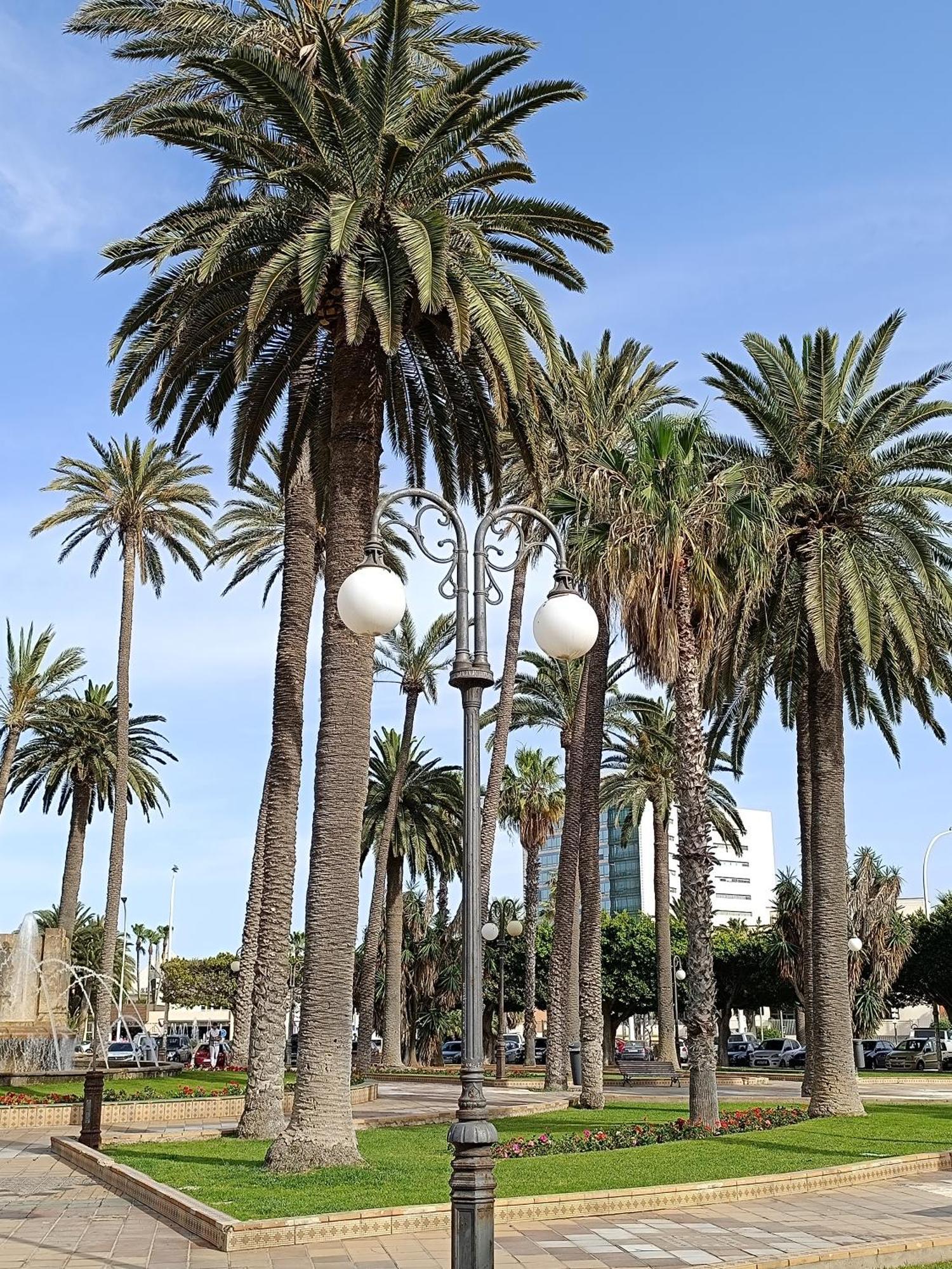 La Jolie Al Jadid Apartment Nador Luaran gambar